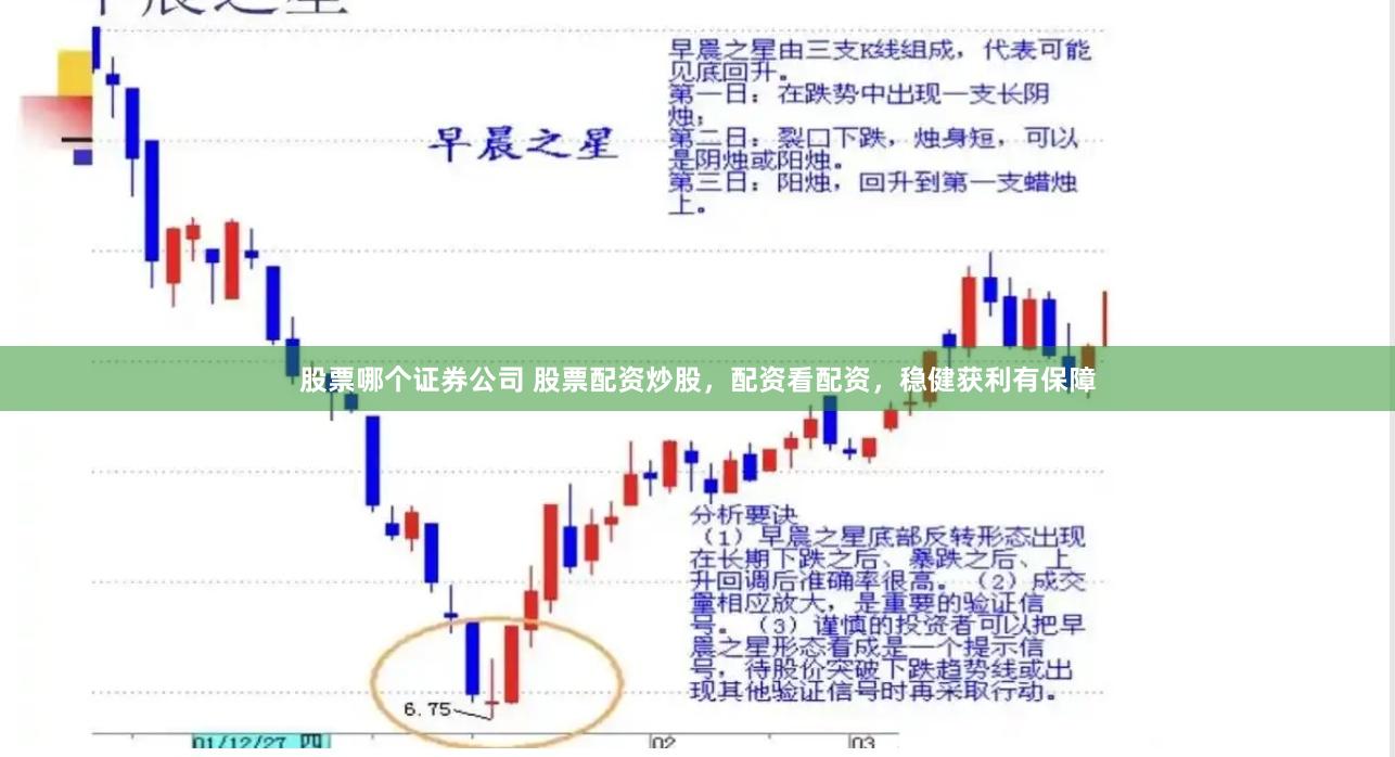 股票哪个证券公司 股票配资炒股，配资看配资，稳健获利有保障
